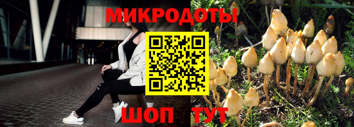 Псилоцибиновые грибы Psilocybine cubensis  Вход с VPN  Северск  Галлюциногенные грибы Magic Shrooms 